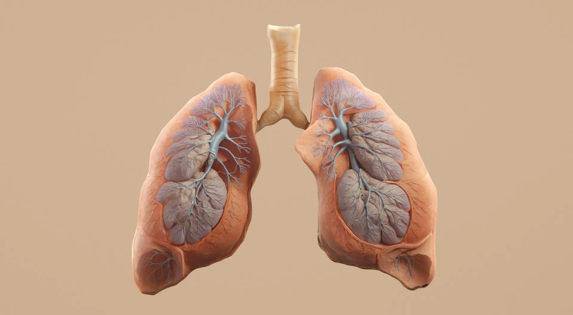Pneumologia